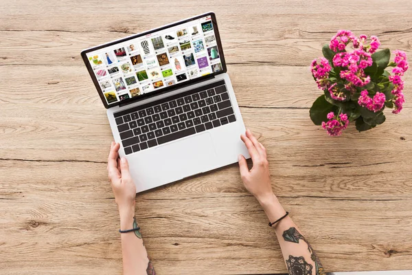 Vista parcial de la mujer en la mesa con el ordenador portátil con el sitio web de pinterest y la planta de kalanhoe en maceta - foto de stock