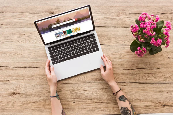 Vista parcial de la mujer en la mesa con el ordenador portátil con obturador sitio web y la planta de kalanhoe en maceta - foto de stock