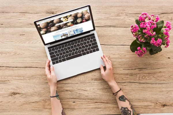 Partial view of woman at tabletop with laptop with depositphotos logo and kalanhoe plant in flowerpot — Stock Photo