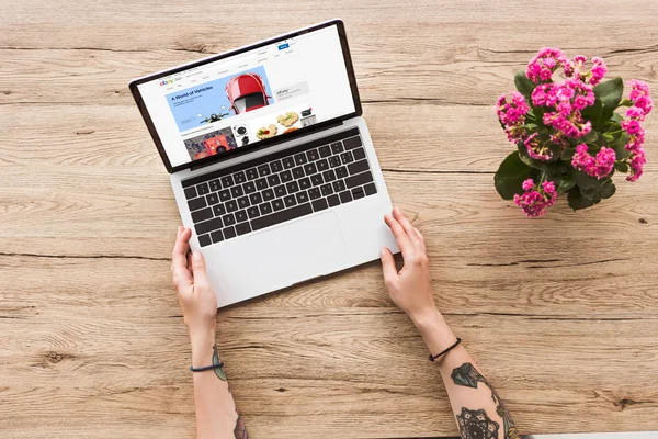 Vista parcial de la mujer en la mesa con el ordenador portátil con el sitio web de ebay y la planta de kalanhoe en maceta - foto de stock