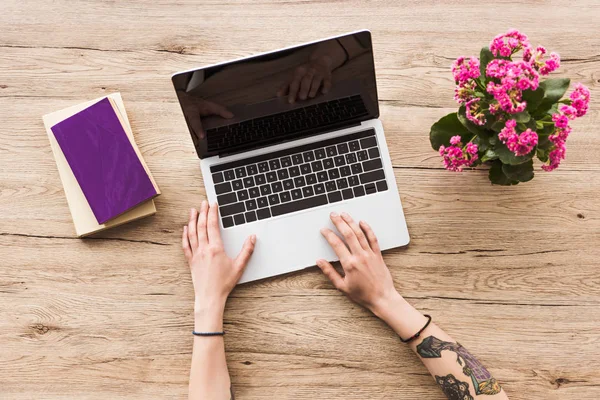 Partial view of woman at workplace with books, laptop with blank screen and kalanchoe  plant — Stock Photo