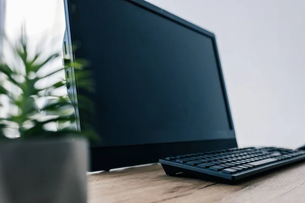 Close up view of potted plant and blank computer monitor and computer keyboard at table — Stock Photo