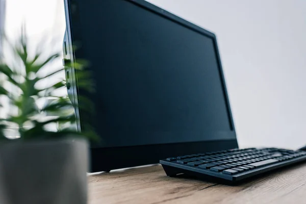 Nahaufnahme von Topfpflanze und leerem Computermonitor und Computertastatur am Tisch — Stockfoto