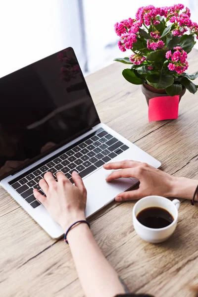Куповані постріл жінка набравши на ноутбуці з порожній екран столом з чашки кави і квіти — стокове фото