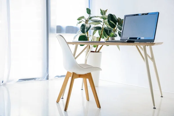 Chambre avec chaise, table, plante en pot, ordinateur, souris d'ordinateur et clavier d'ordinateur — Photo de stock