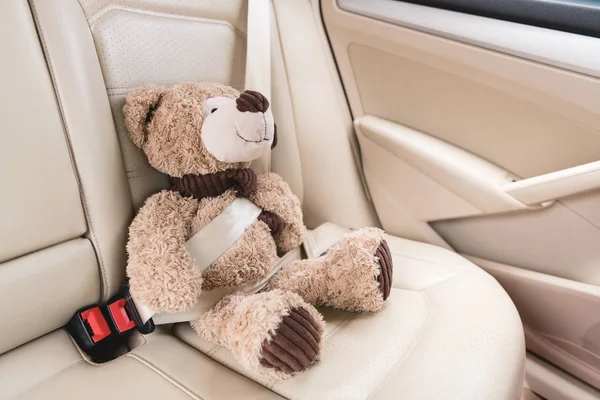 Close up view of teddy bear with fastened seat belt in car — Stock Photo