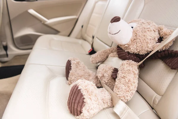 Крупним планом вид на плюшевого ведмедя з пристебнутим ременем безпеки в машині — стокове фото
