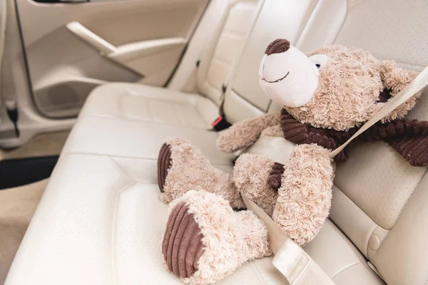 Close up view of teddy bear with fastened seat belt in car — Stock Photo