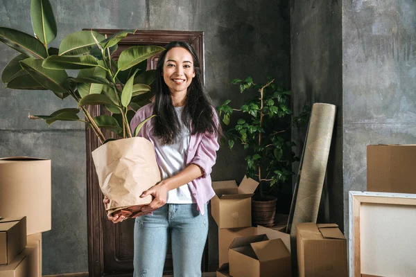 Glückliche junge Frau mit Ficus-Pflanze und Kästen zieht in neues Haus — Stockfoto