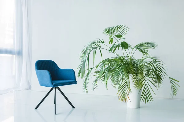 Interior of living room with armchair and palm in pot — Stock Photo