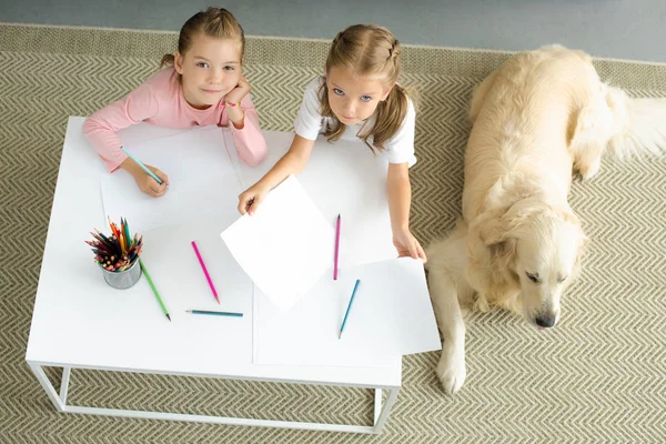 Vista aérea de hermanas pequeñas dibujando cuadros en la mesa con perro perdiguero dorado descansando en el suelo cerca de casa - foto de stock