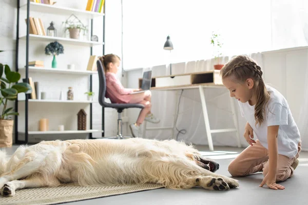 Foco seletivo de criança brincando com cão golden retriever no chão, enquanto irmã usando laptop em casa — Fotografia de Stock