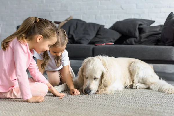 Crianças alimentando cão golden retriever com guloseimas em casa — Fotografia de Stock