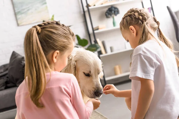 Little kids feeding golden retriever dog with treats at home — Stock Photo