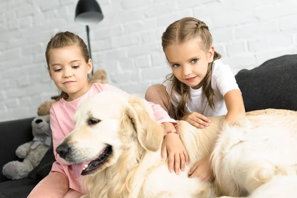 Retrato de crianças adoráveis com cão golden retriever em casa — Fotografia de Stock