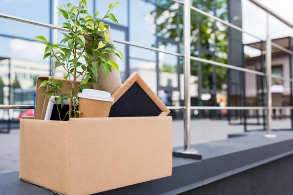Plante en pot et café dans une tasse en papier dans une boîte en papier sur la rue près d'un immeuble de bureaux — Photo de stock