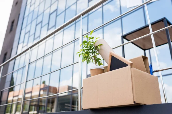 Potted plant and disposable coffee cup in paper box on street near office building — Stock Photo