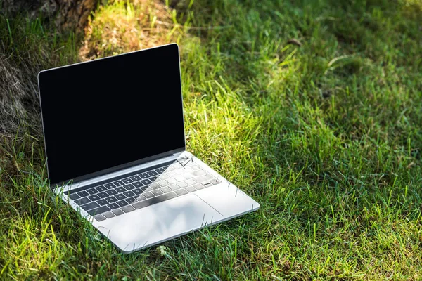 Vista de perto do laptop com tela em branco na grama ao ar livre — Fotografia de Stock