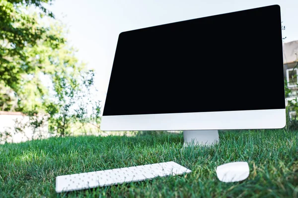 Selective focus of computer with blank screen on grass outdoors — Stock Photo
