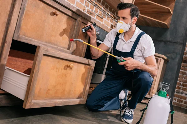 Trabajador de control de plagas pulverización de pesticidas en el gabinete en la cocina y el uso de linterna - foto de stock