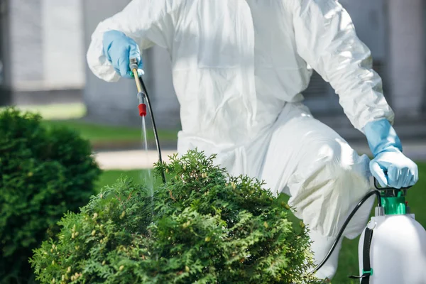 Imagen recortada del trabajador de control de plagas en productos químicos uniformes de pulverización en los arbustos — Stock Photo