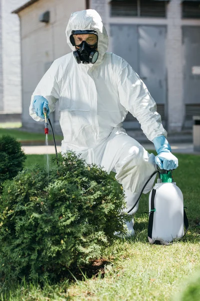 Pest control worker in uniform spraying pesticides on bush — Stock Photo