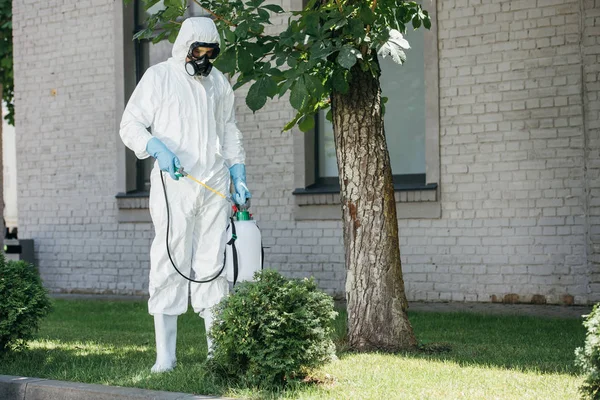 Trabajador de control de plagas rociando pesticidas en arbustos - foto de stock
