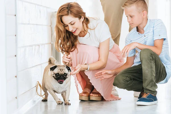 Happy mother palming adopted pug dog in corridor of at animals shelter — Stock Photo