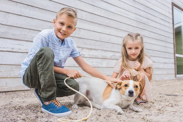 Irmãos brincando com o cão no abrigo de animais e escolhendo para adoção — Fotografia de Stock
