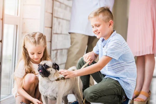 Niños palming pug dog en animales refugio - foto de stock