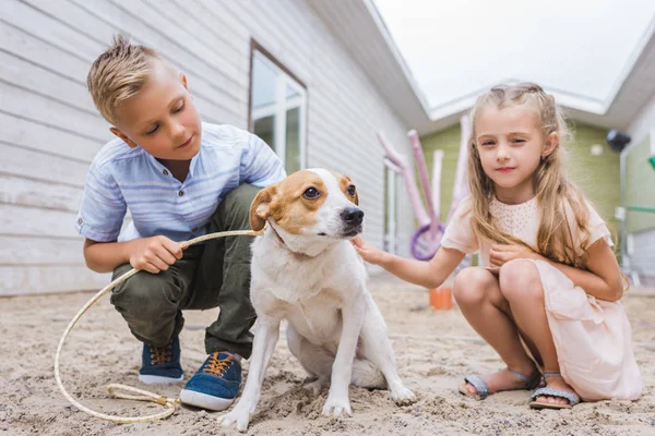 Brother and sister playing with dog at animals shelter and choosing for adoption — Stock Photo