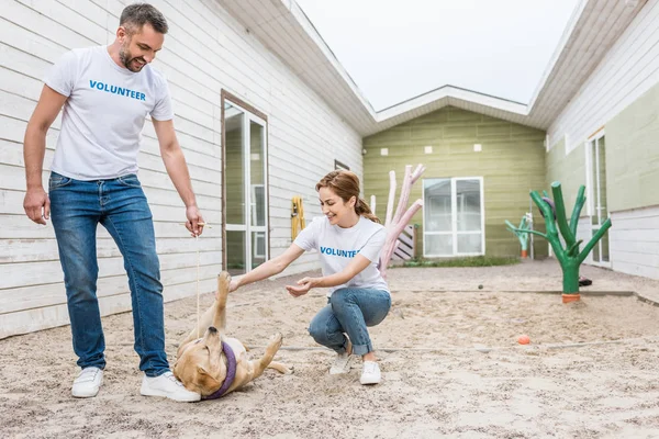 Happy volunteers of animals shelter playing with labrador dog — Stock Photo