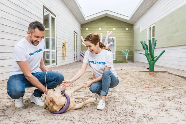 Two volunteers of animals shelter playing with labrador dog — Stock Photo