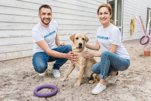 Voluntarios sonrientes de animales refugio en cuclillas y palmeras labrador — Stock Photo