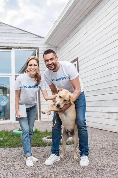 Smiling male and female volunteers of animals shelter palming labrador and looking at camera — Stock Photo