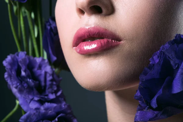 Retrato parcial de una hermosa joven con labios rosados y flores de eustoma púrpura sobre gris - foto de stock