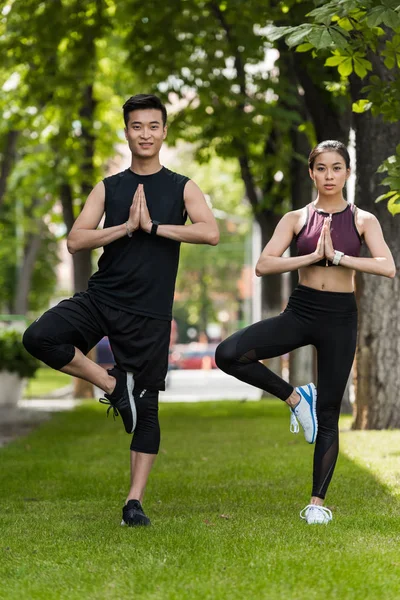 Young asian sportsman and sportswoman standing in vrksasana (tree pose) and doing namaste gesture on grass in park — Stock Photo