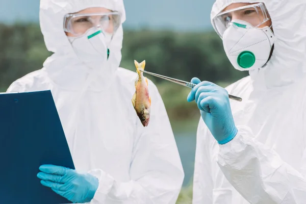 Dos científicos en trajes de protección y máscaras examinar peces y escribir en portapapeles al aire libre - foto de stock