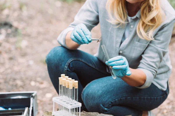 Imagem recortada de uma cientista sorridente a colocar galho por pinças em frasco de ensaio na floresta — Fotografia de Stock