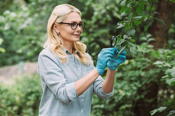 Smiling female scientist examining green leaves by magnifying glass in forest — Stock Photo