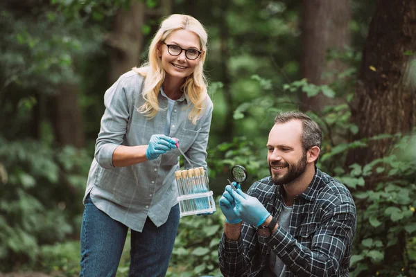 Enfoque selectivo de científicos masculinos y femeninos que examinan y toman muestras de hojas secas en el bosque - foto de stock