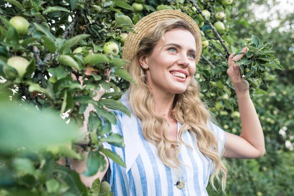 Красива жінка в солом'яному капелюсі позує біля яблуні в саду — стокове фото