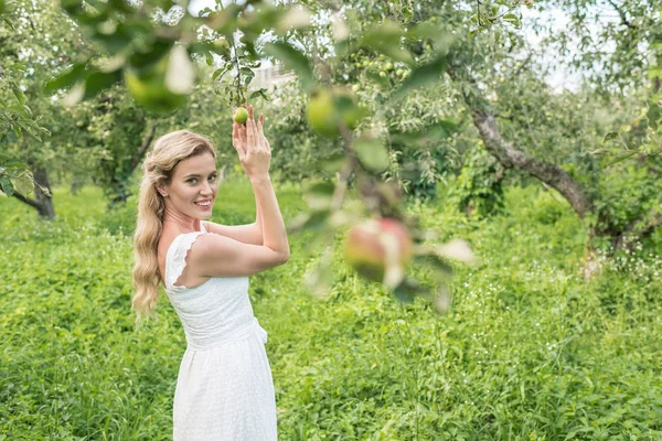 Елегантна жінка в зеленому саду з яблунями — стокове фото