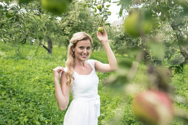 Cheerful woman in white dress spending time in apple garden — Stock Photo