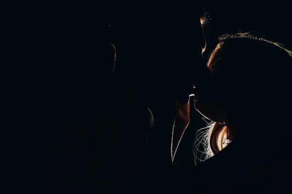 Silhouettes of passionate heterosexual couple kissing in dark — Stock Photo