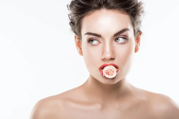 Nackte Frau mit rosa Rosenblüte in den Lippen, isoliert auf weiß — Stockfoto