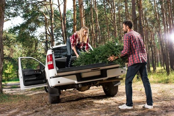 Foco seletivo do jovem casal carregando árvore de natal no tronco do carro na floresta — Fotografia de Stock