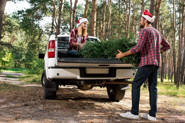Joven pareja en santa sombreros cargando árbol de navidad en coche tronco en bosque - foto de stock