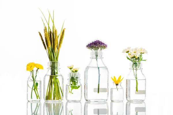 Glass jars with blooming flowers isolated on white, alternative medicine concept — Stock Photo