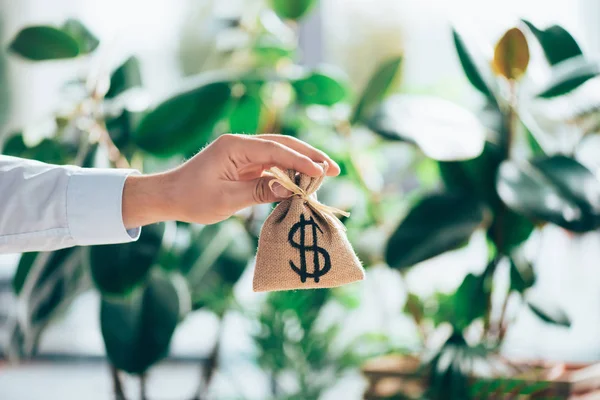 Tiro cortado de pessoa segurando saco de pano de saco com sinal de dólar na mão — Fotografia de Stock